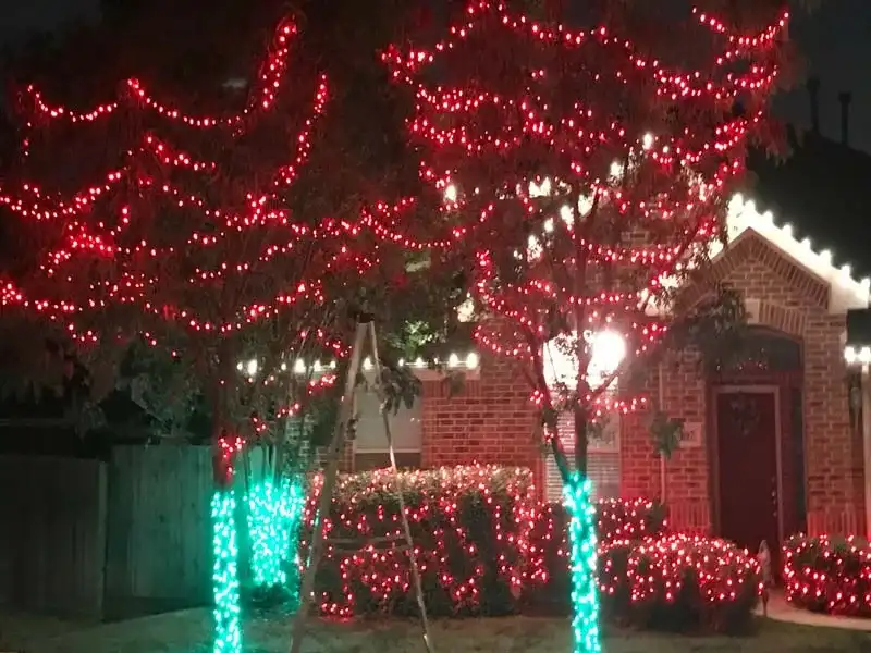 Trees wrapped in red and green Christmas lights in a front yard at night