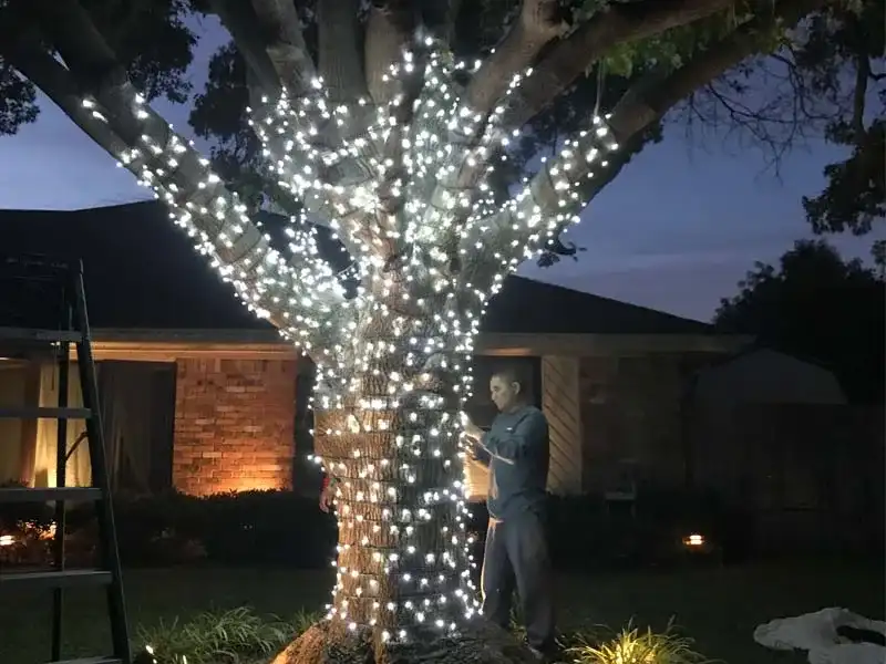 Tree trunk and branches wrapped in white Christmas lights